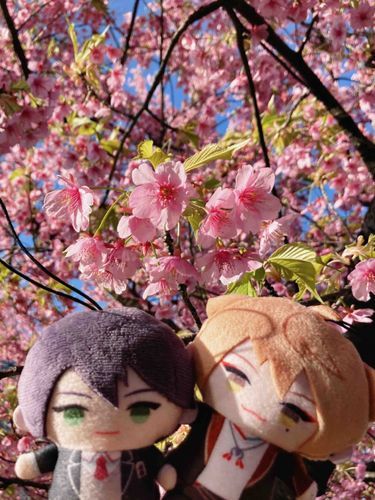 だんだん春っぽくなってきたね〜🔅