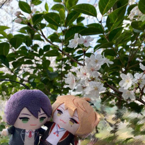 お花見したよ〜🌸
