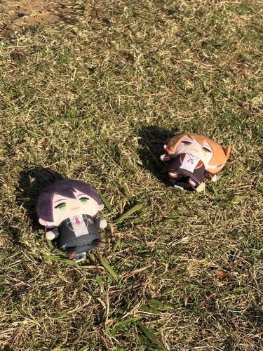 草むらでひなたぼっこ〜