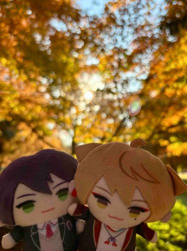 秋色だねー！🍂