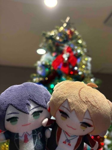 メリークリスマス🎄