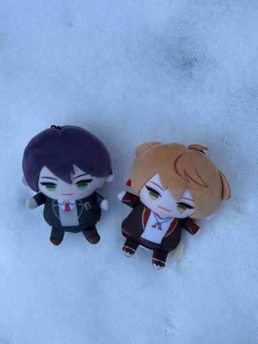 ぱぺも雪、見たよ！