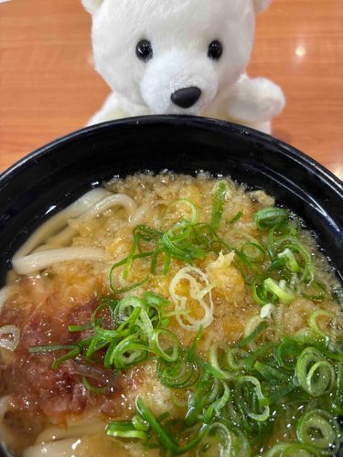 うどんー
追い鰹って書いてあるのにどこにもいないんだよー。
🐟←イメージ