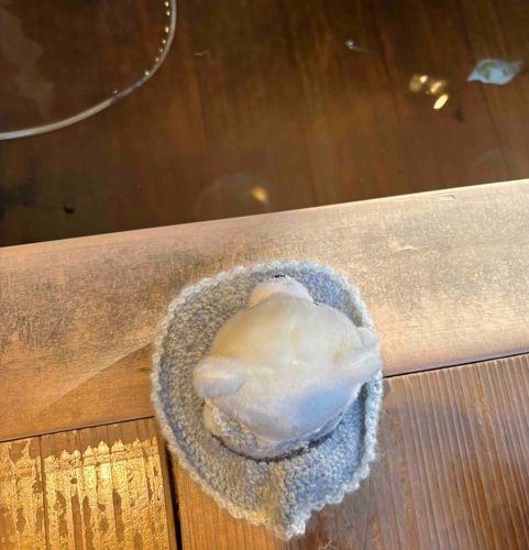 お魚さんがいるんだよ。
美味しそう
僕用のサイズだよっ