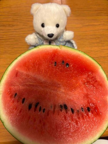 わぁーーーーー
すいかでかぁぁぁぁぁぁあ🍉