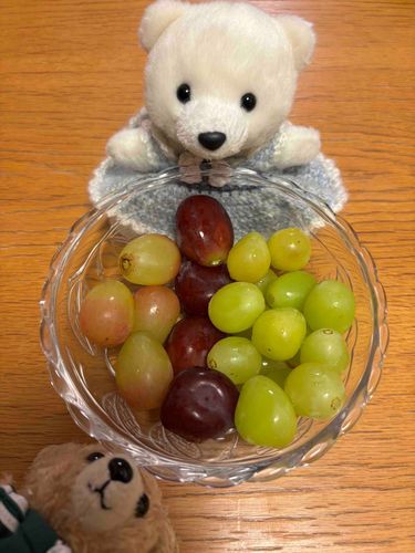 ブドウだよー！🍇
シャインマスカットがあるのー！
右下⤵
僕もいるよォ