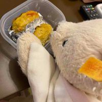 スティーブン