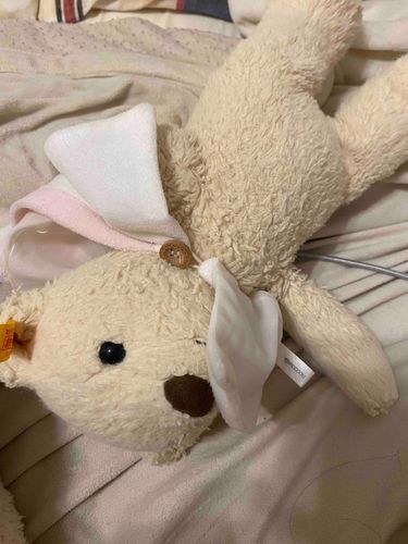 あさおきたらはんたいだった。おかしいな。