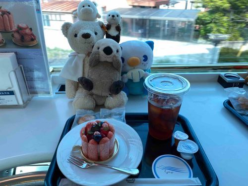 みんなとおでかけしたんだ！かえりのでんしゃでけーきたべたんだよ！