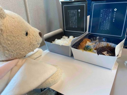 わー！はんばーぐだ！！はやくたべよ！！みんなはんばーぐすき？