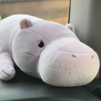 かばかば