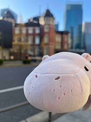 かばかば、どこへ行っていたでしょう？
