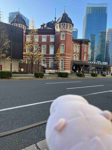 正解はとうきょうえき！