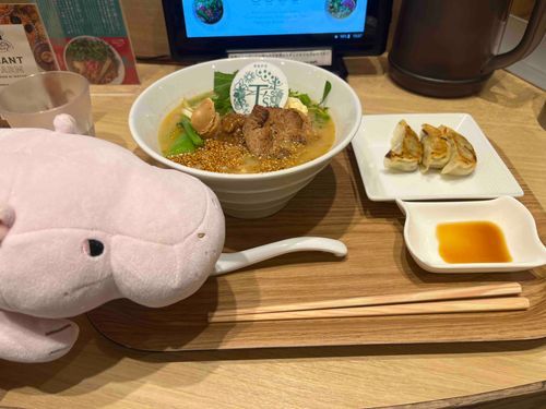 主、はじめてのヴィーガンラーメンにちゃれんじ。