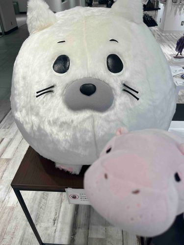 かばかばと知らないキャラクター。