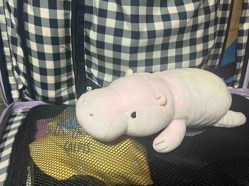 かばかば、しばしキャリーへ。