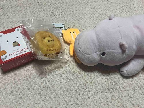 お土産、いただきました。