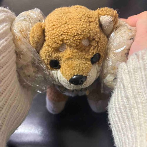 おにぎりで暖をとっているわん