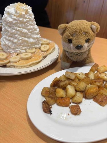 たくさん食べれておいしかったわん