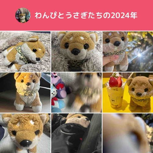 今年もよろしくお願いします！