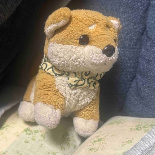 とことこわんぴちゃん