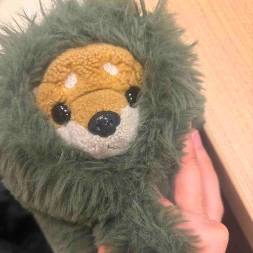 ふわふわであったかいわん