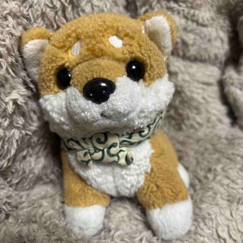 お風呂に入ってふかふかわんぴちゃんだわん