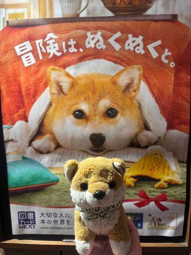 わんぴちゃん？