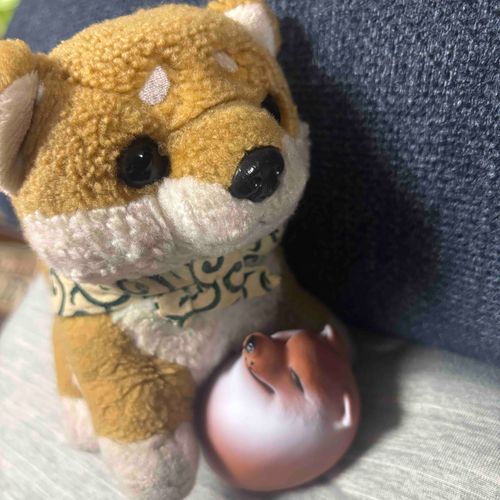 僕の子供、しばこが生まれたよ