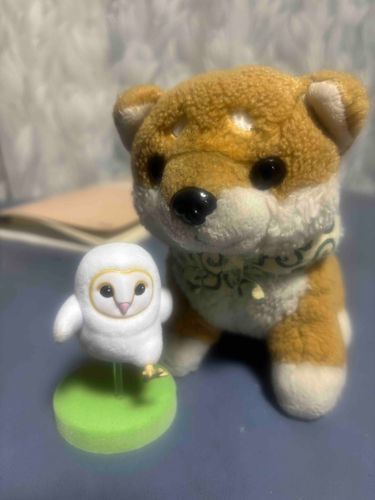 えっほえっほ