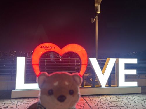 お台場楽しかったわん