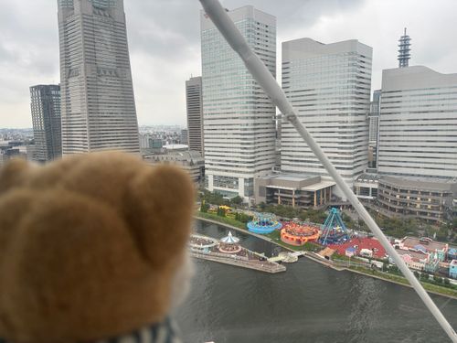 横浜も行ったわん