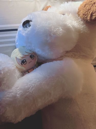 新入りのｲｯﾇとふじたことね