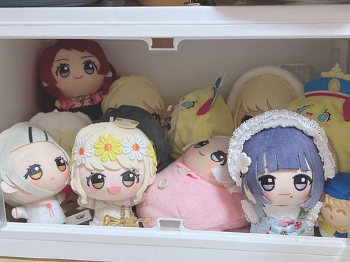 新しい部屋ですよ