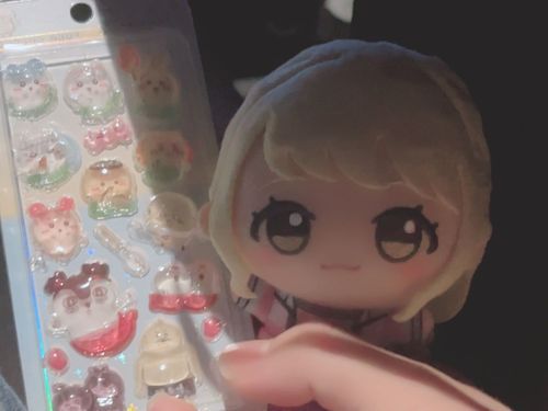 観に来た