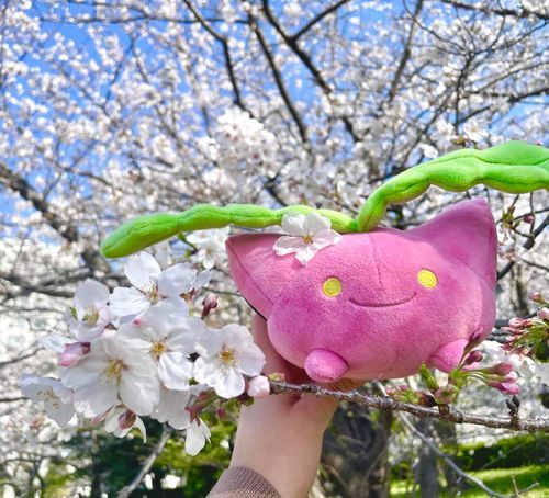 春だね〜