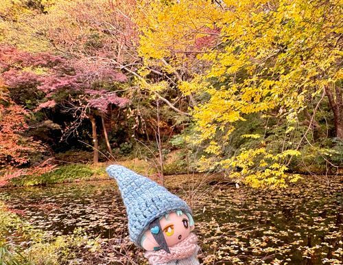 きれいだったね