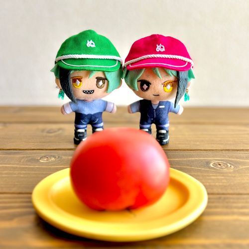 生産者の顔が見えるお野菜