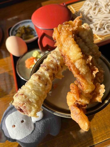 でっかいゲソ天とちくわ天を見せました
美味しかったね