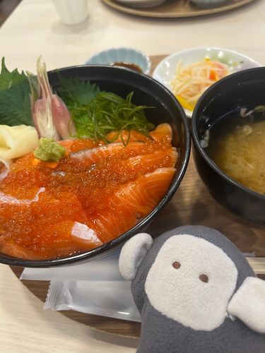 サーモンいくら丼を見せました
めちゃくちゃうまかったね
