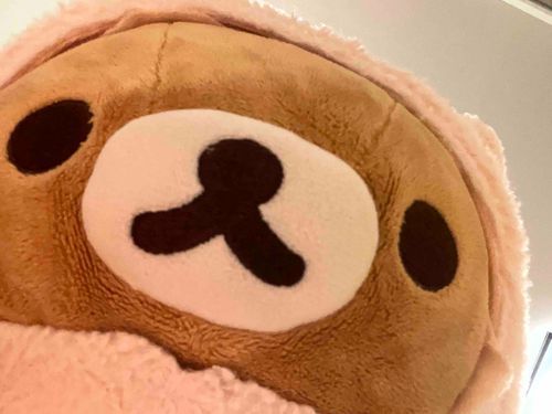 深夜に飼い主ちゃんに隠れてお菓子パーティー🍭🍬🍫🍿🍩
12時から始まるよ🎉
桃味のグミあるかな、？