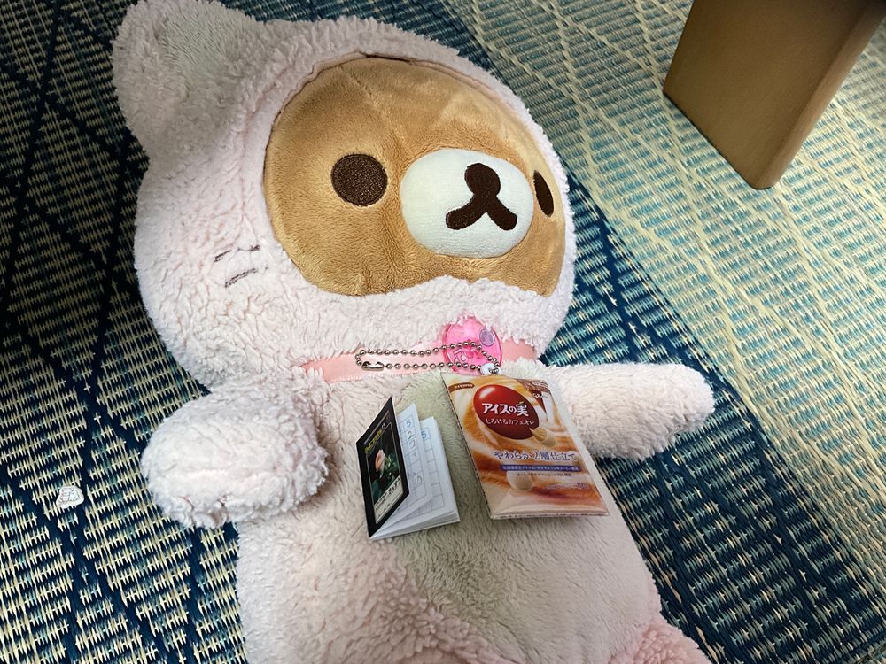 皆さん!お久しぶりです😊コンビニでゲットしたものだよ!
左はフエラムネについてきた小さいさんすうのーと!!え?べんきょうってなんですか😗
右はファミマでアイスの実を2個買ったら貰えるキーホルダーだよ🍨どこに付けようかな🙃
みんなも買ってみてね💕︎