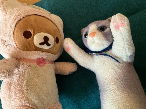 にゃぐはこの度、結婚しました🐱
相手は青にゃごさん🟦🐱
にゃごもたまに出るので楽しみにしてね💕︎
