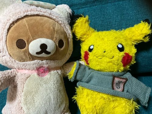 カピっていう子がお気に入りのマフラーを無くしたから暴れてる💦
マフラー、探してもない💦もうちょっと探してくる😣