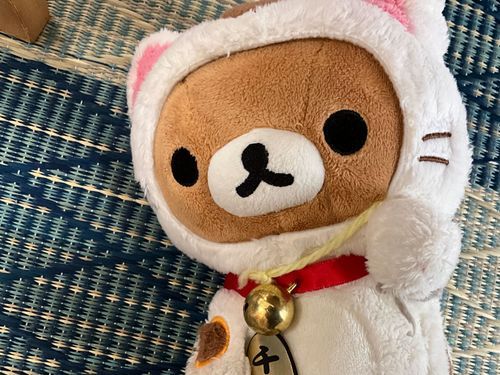 にゃぐの妹です。写真撮れてますか？
にゃーこっていう名前です。にゃーこが投稿することあります。にゃぐより天才なのでよろしくね😝