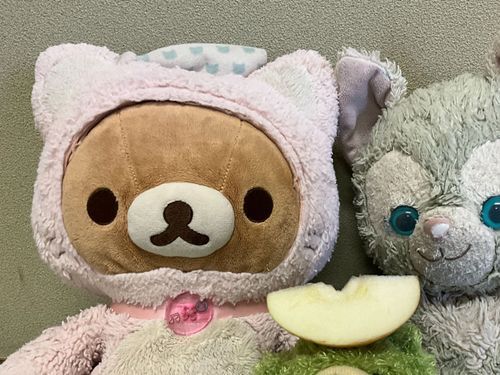 🍎旅行に来たよ🍎