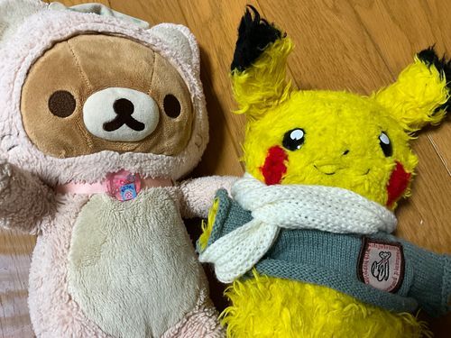 遅くなっちゃったけど、旅行から帰ってきてます✈️
いきなりごめんだけどカピのマフラーが見つかったよ🧣
すごく時間が経ったけど探せば見つかるってことがわかった👍🏻✨