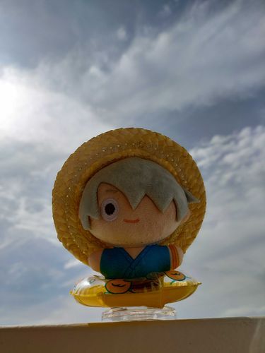 海に行きたいのじゃ