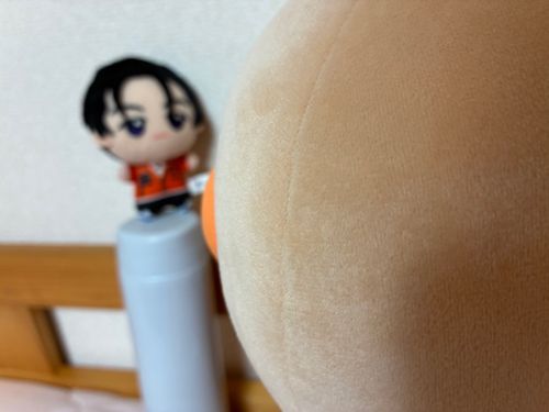 人それぞれ個性があるように、僕たちぬいぐるみにも個性があるんだよ
みんな違ってみんないい。
認め合っていくのが僕たちの役目だ