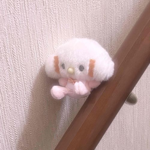 おうちでばえる場所見つけるのむずかしいみゅん…

滑り台…？がんばるみゅん…